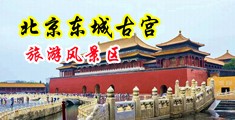 外国免费内射黄中国北京-东城古宫旅游风景区